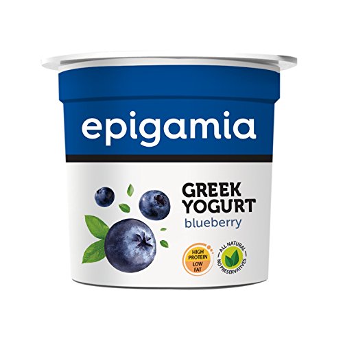 Product Cover Epigamia Blueberry Greek Yogurt, 90g