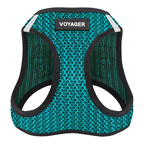 Product Cover Voyager Step-in Air Dog Harness - All Weather Mesh, Step in Vest Harness for Small and Medium Dogs by Best Pet Supplies - Turquoise, Large (Chest: 18