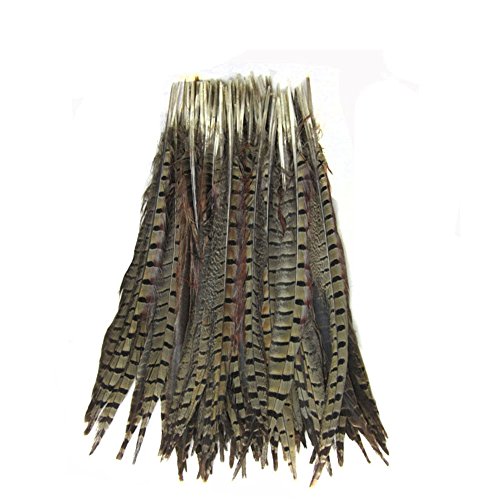 Product Cover KOLIGHT Set of 50pcs Natural Dyed Pheasant Tails Feathers 12-14 Inch DIY Decoration (Natural)