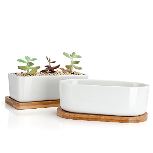 Product Cover Greenaholics Succulent Plant Pots - 6 Inch Rectangular Ceramic Planters, Small Cactus Container, Bonsai Pots, Flower Pots with Drainage Hole, Bamboo Tray, Set of 2, White