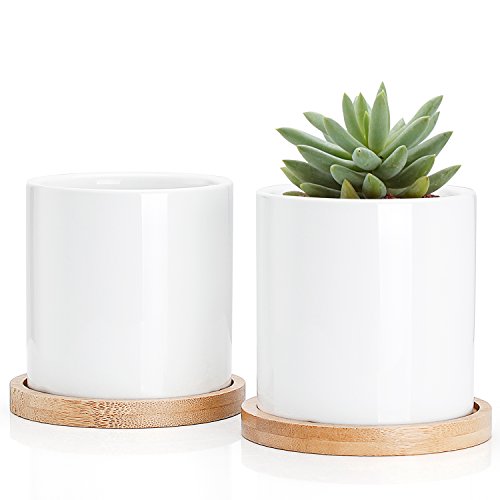Product Cover Greenaholics Succulent Plant Pots - 3 Inch Ceramic Cylindrical Containers, Small Cactus Planters, Flower Pots with Drainage Hole, Bamboo Tray, Set of 2, White