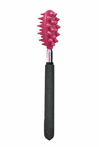 Product Cover Cactus Back Scratcher On a Stick (Pink) | 26