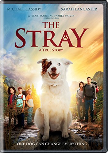 Product Cover The Stray