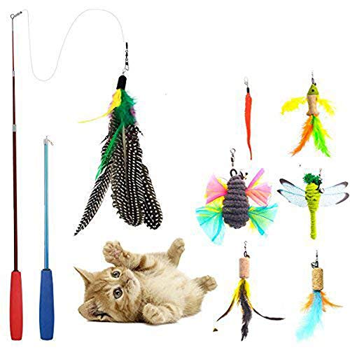 Product Cover JTEEY Cat Toys Interactive,9 Packs Retractable Cat Toy Wand, Cat Feather Toy, Assorted Refills Teaser Exerciser Wand Toy Set,Fish Bird Butterfly Dragonfly Worm