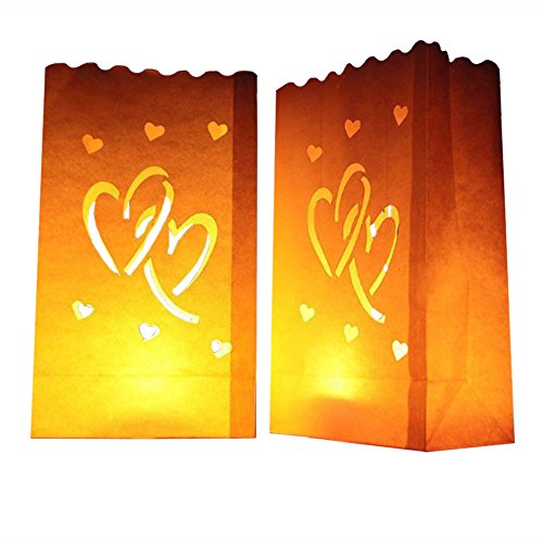 Product Cover 24 Pack Luminary Bags - Double Heart Design Candle Bags - Flame Resistant Light Holder - Candleholders Decorations for Wedding, Halloween, Birthday, New Year and Event Occasion - White (Double Heart)