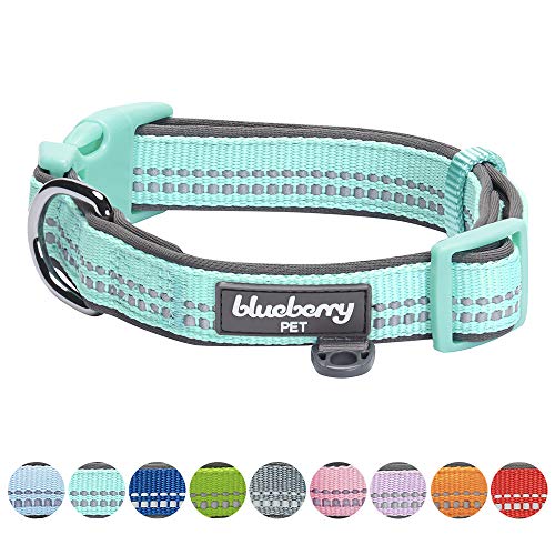 Product Cover Blueberry Pet 9 Colors Soft & Safe 3M Reflective Neoprene Padded Adjustable Dog Collar - Mint Blue Pastel Color, Large, Neck 18