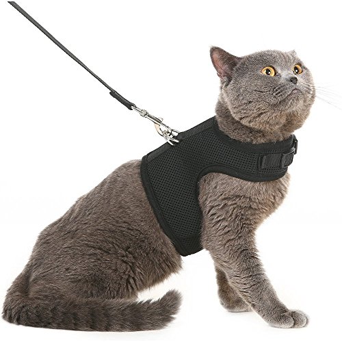 Product Cover Escape Proof Cat Harness with Leash - Adjustable Soft Mesh - Best for Walking Black Large