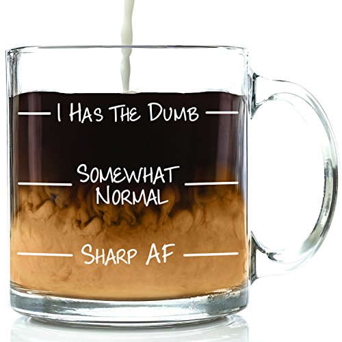 Product Cover I Has The Dumb Funny Mug - Best Novelty Christmas Gifts for Men, Women, Husband, Wife - Cool Xmas Gag Gift Ideas for Him, Her, Dad, Mom from Son, Daughter - Unique Birthday Present - Fun Coffee Cup