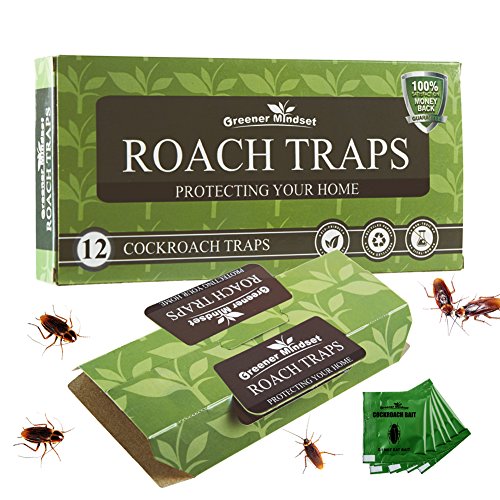 Product Cover Greener Mindset 12 Pack Cockroach Traps with Bait Included - Premium Glue Trap - Eco-Friendly - Non-Toxic - Chemical Free - Spiders Ants Roach Killer