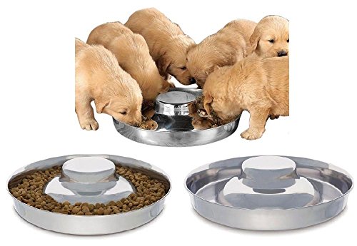 Product Cover King International Stainless Steel Dog Bowl 2 Puppy Litter Food Feeding Weaning|SilverStainless Dog Bowl Dish| Set of 2 Pieces | 29 cm - for Small/Medium/Large Dogs, Pets Feeder Bowl and Water Bowl