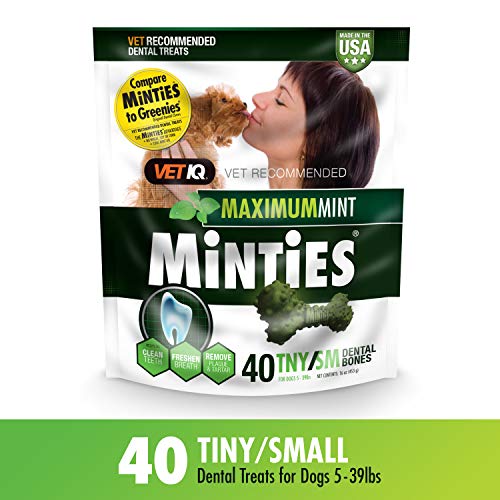 Product Cover VetIQ Minties Dog Dental Bone Treats, Dental Chews for Dogs, (Perfect for Tiny / Small Dogs under 40 lbs), 40 Treats