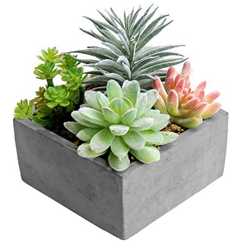 Product Cover MyGift Artificial Succulent Plants Arrangement in Grey Square Cement Pot (Assortment 1)