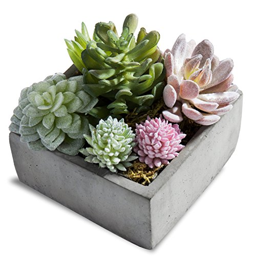Product Cover MyGift Artificial Succulent Plants in Grey Cement-Tone Pot (Assortment 1)