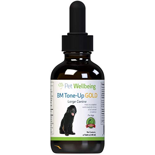 Product Cover Pet Wellbeing BM Tone-Up Gold Dog - Natural Support for Diarrhea in Dogs - 4oz (118ml)