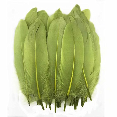 Product Cover Celine lin 100PCS Dyed Home Decor Goose Feather for DIY Art,Home Party Or Wedding 6-8inch,Olive Green