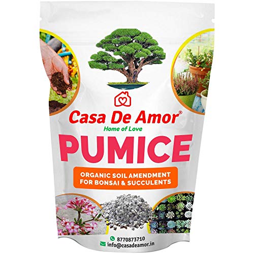 Product Cover Casa De Amor Pumice Soil Amendment for Bonsai & Succulents Plants (900 Grams)