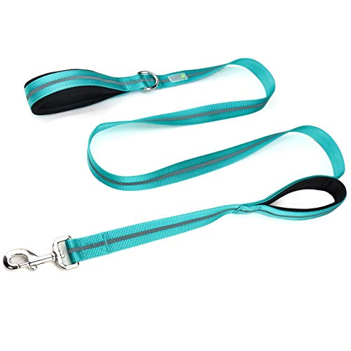 Product Cover DCbark Double Padded Traffic Handle Dog Leash, Reflective Leash with 2 Handles (M, Teal)