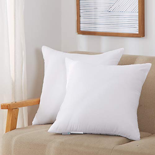Product Cover Acanva Throw Pillow Inserts Soft Couch Stuffer Hypoallergenic Polyester Square Form Washable Cushion Euro Sham Filler, 20-2P, White, 2 Piece
