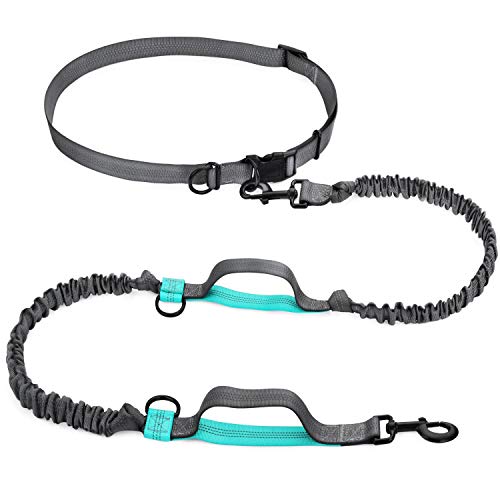 Product Cover SHINE HAI Retractable Hands Free Dog Leash with Dual Bungees for Dogs up to 150lbs, Adjustable Waist Belt, Reflective Stitching Leash for Running Walking Hiking Jogging Biking