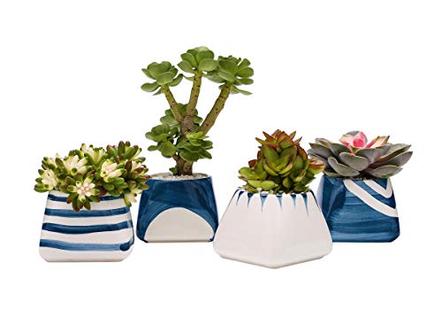 Product Cover TOUCH MISS Ceramic Succulent Planter Pot with a Hole,Pack of 4,5.5x3.35x3.15 Inch White and Royal Blue Square