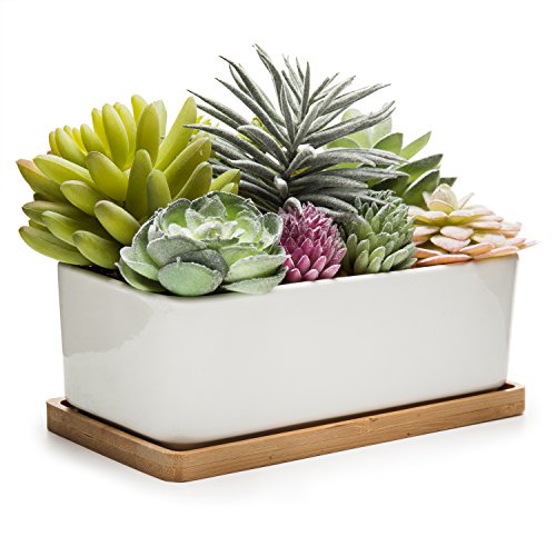 Product Cover MyGift Potted Artificial Succulents in Ceramic Pot with Bamboo Tray (Plant 2)