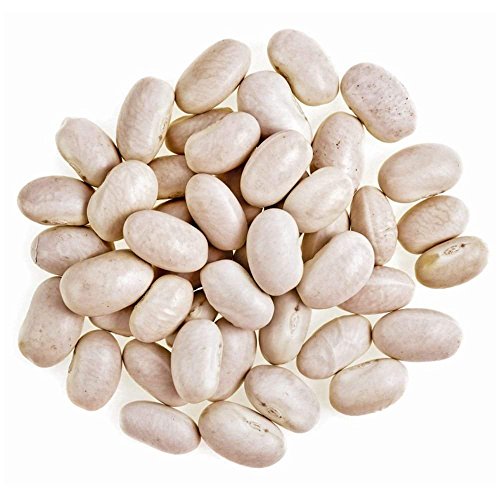 Product Cover Organic Great Northern Beans, 20 Pounds - Dried, Non-GMO, Kosher, Raw, Sproutable, Bulk Seeds, Product of the USA