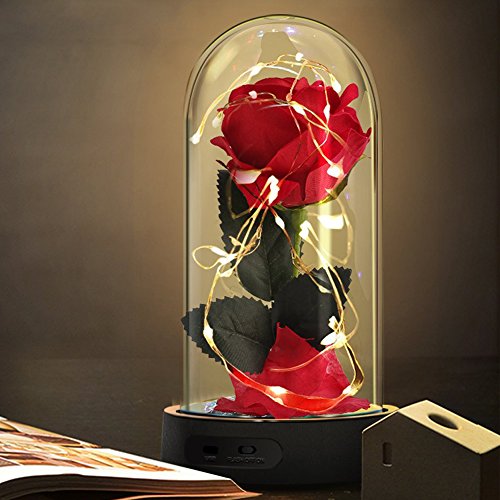 Product Cover Beauty and The Beast Rose, Enchanted Red Silk Rose Lamp with 2 Mode LED Fairy String Lights, Best Gifts for Her for Valentines Day, Mothers Day, Anniversary, Wedding, Birthday Gifts