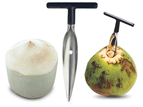 Product Cover Stord Coconut Opener for Fresh Green Young Coconut Water - Works With Peeled Thai Young White Coconuts - Open in Seconds Super Safe Easy and Fast