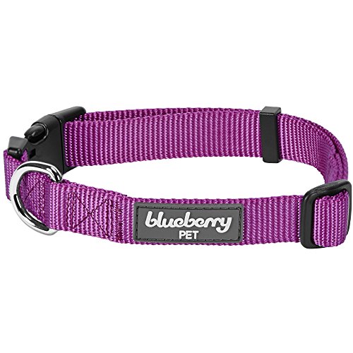 Product Cover Blueberry Pet Essentials 22 Colors Classic Dog Collar, Violet, Small, Neck 12