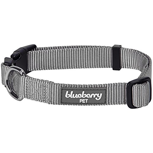 Product Cover Blueberry Pet 22 Colors Classic Dog Collar, Flint Gray, Medium, Neck 14.5