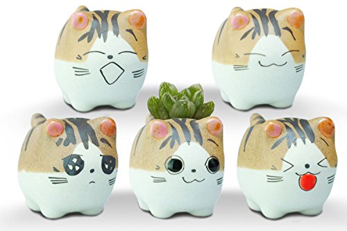 Product Cover VanEnjoy Original Design Handmade Mini Cute Cartoon Ceramic Succulent Pots Planters Cat, with Drainage Hole, Flower Pot, Ceramic Ornaments Cat Gifts for Cat Lovers Office - Pack of 5