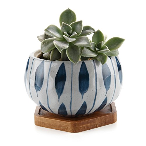 Product Cover T4U Japanese Style 4.25 Inch Ceramic Bowl Shape Succulent Plant Pot with Bamboo Tray - Orchid Pattern