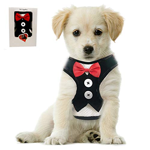 Product Cover Bark Lover Small Puppy Harness with Bowtie, Adjustable Dog Mesh Tuxedo Harness Leash Set for Small Dog Kitten, Perfect for Party Wedding Holiday(S, Black Velvet)