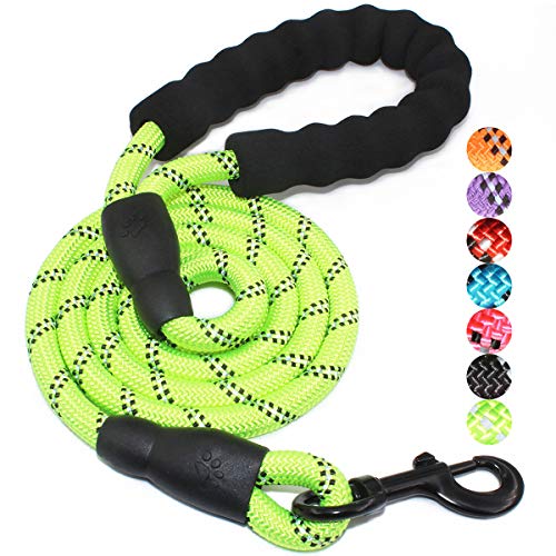 Product Cover BAAPET 5 FT Strong Dog Leash with Comfortable Padded Handle and Highly Reflective Threads for Medium and Large Dogs (Green)