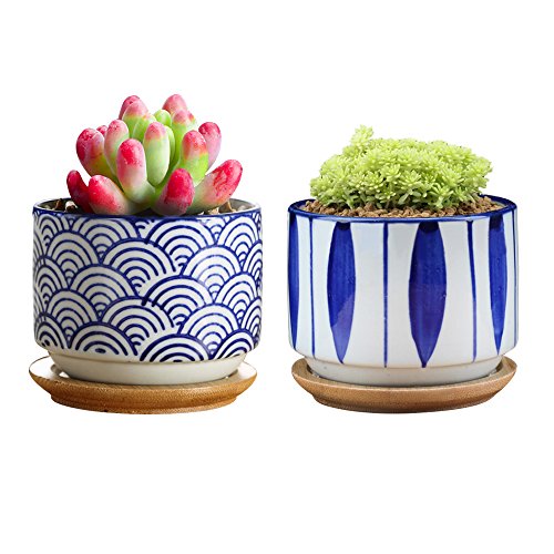 Product Cover GeLive Japanese Ceramic Succulent Planter, Cactus Plant Pot, Flower Container with Bamboo Drip Tray, Set of 2 (Wave and Blue Flower)