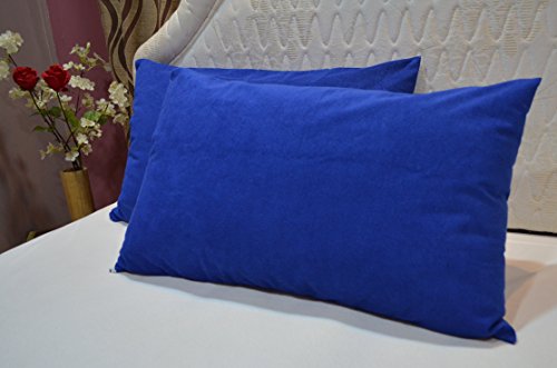 Product Cover Trance Home Linen Cotton Waterproof and Dustproof Pillow Protector (Blue, 18x28 Inches)