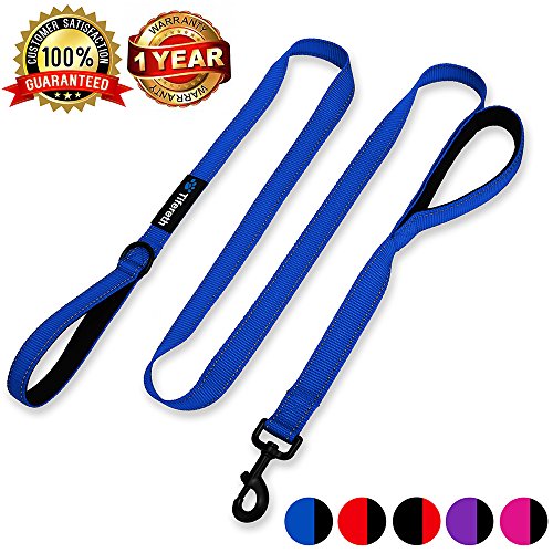 Product Cover Tifereth Heavy Duty Dog Leash Reflective Nylon Dog Leash 2 Handles Padded Traffic Handle for Extra Control, 6ft Long Perfect for Medium to Large Dogs (Blue)