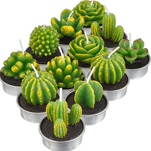 Product Cover TecUnite 12 Pieces Cactus Tealight Candles Handmade Delicate Succulent Cactus Candles for Party Wedding Spa Home Decoration Gifts (Style A)