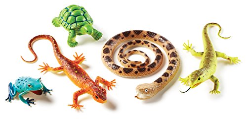 Product Cover Learning Resources Jumbo Reptiles & Amphibians I Tortoise, Gecko, Snake, Iguana, and Tree Frog, 5 Animals