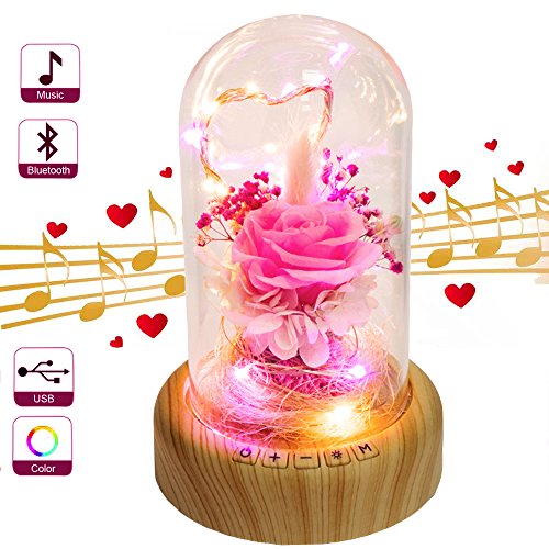 Product Cover SWEETIME Forever Blossom Handmade Preserved Flower Rose in Glass Dome, Immortal Flowers Rose Lamp Light with Bluetooth Speaker, Eternal Rose Gift for Wife,Mom,Girlfriend.(Pink)