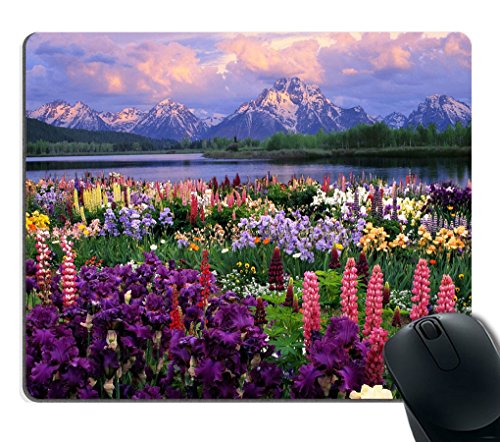 Product Cover Smooffly Beautiful Flowers Mountain Sky Water Mouse Pads Customized, Eco Friendly Cloth with Neoprene Rubber Mouse Pad Desktop Mousepad Laptop Mousepads Comfortable Comput