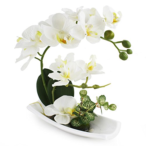 Product Cover LIVILAN Artificial Orchids Arrangements with White Ceramic Vase for Decoration Silk Fake Flowers for Table Centerpiece Home Decor Office Wedding Vivid Lifelike