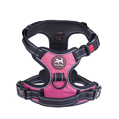 Product Cover PoyPet No Pull Dog Harness, No Choke Front Lead Dog Reflective Harness, Adjustable Soft Padded Pet Vest with Easy Control Handle for Small to Large Dogs(Pink,L)