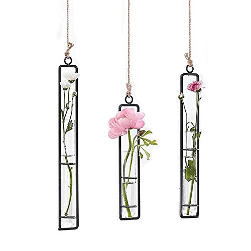 Product Cover Ivolador 3 Pack Different Length Test Tube Hanging Glass Planter Bud Flower Vase Terrarium Container for Home Decoration Green Plants Wedding
