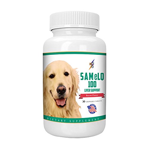 Product Cover Best SAMeLQ 100 for Dogs & Cats (S-Adenosyl) Liver Support Supplement - Promotes Natural Hepatic Liver Health & Cognitive Brain Support - 30 Chewable Tablets (Bacon Flavor)