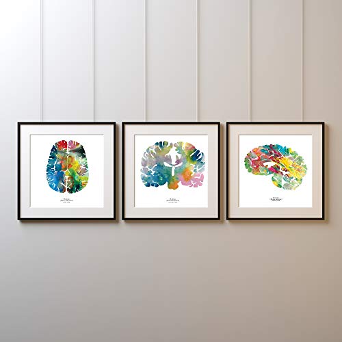 Product Cover J. Sayuri The Human Brain - Set of Three 8.5 x 8.5 Brain Art Prints - Colorful Watercolor Neuroscience, Neurology, and Psychology Artwork Print - Unique Graduation Gift Idea - Wall Art Decor Signed