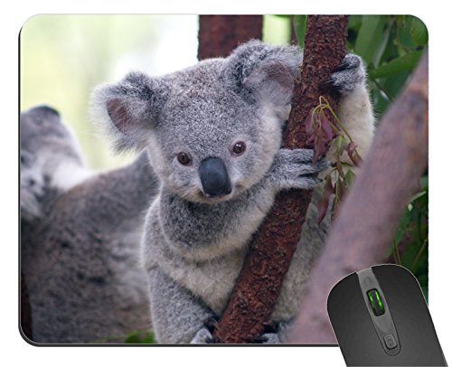 Product Cover 1 X Koala Design Square Rectangular Gaming Mousepad Durable Office Accessory Rubber Mousepad Mat