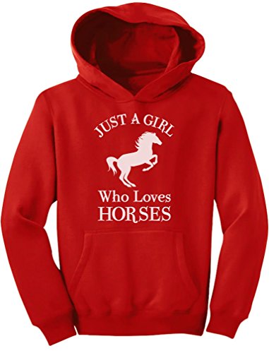 Product Cover A Girl Who Loves Horses Horse Lover Gift Girls' Youth Hoodie X-Large Red