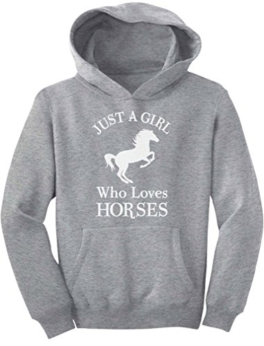 Product Cover A Girl Who Loves Horses Horse Lover Gift Girls' Youth Hoodie Large Gray