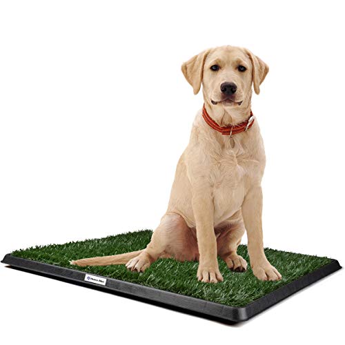 Product Cover Home-Man Puppy Potty Trainer - Pets Indoor Restroom - Artificial Grass Pet Bathroom Mat for Pet Potty Training, 20